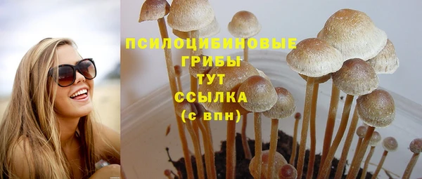 а пвп мука Горно-Алтайск