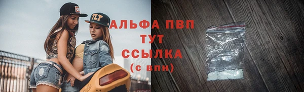 индика Горняк