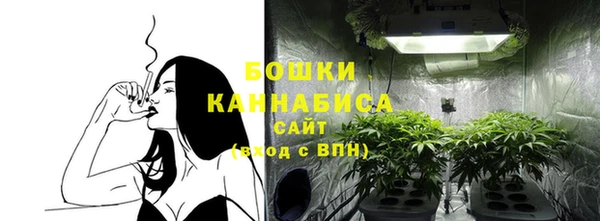 индика Горняк