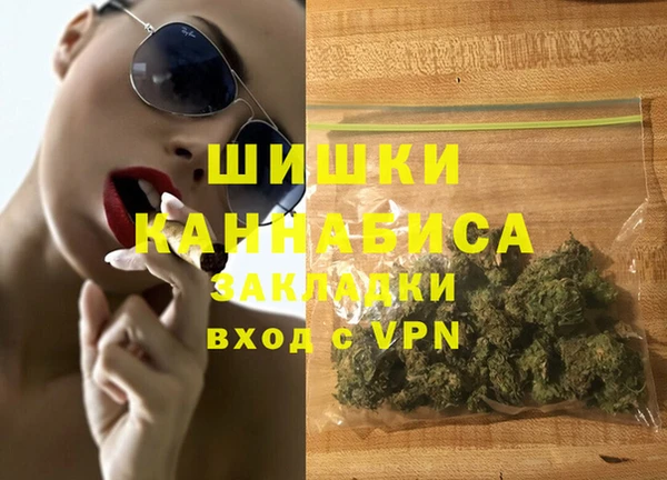 индика Горняк