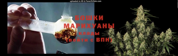 индика Горняк