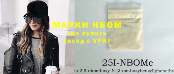 индика Горняк