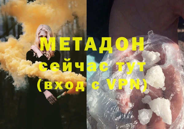 индика Горняк