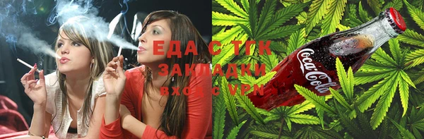 индика Горняк