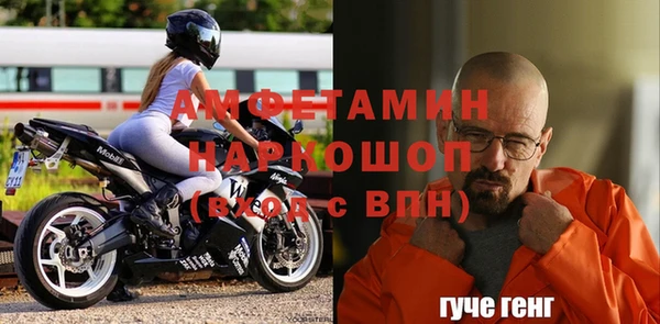 индика Горняк