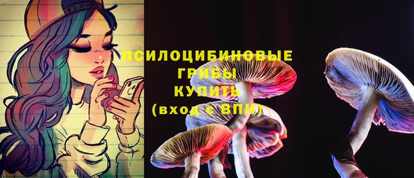 индика Горняк