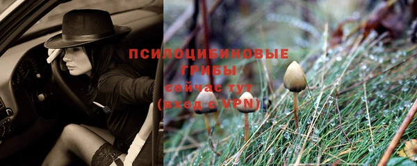 мяу мяу мука Горнозаводск