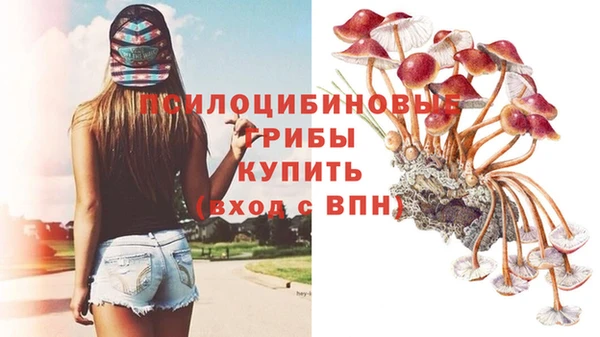 мяу мяу мука Горнозаводск