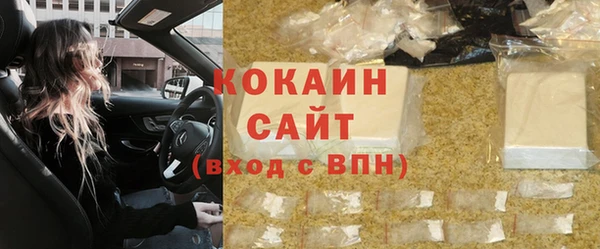 индика Горняк