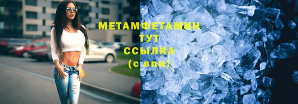 индика Горняк