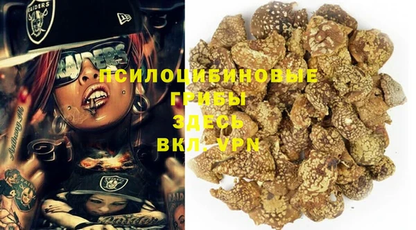 а пвп мука Горно-Алтайск