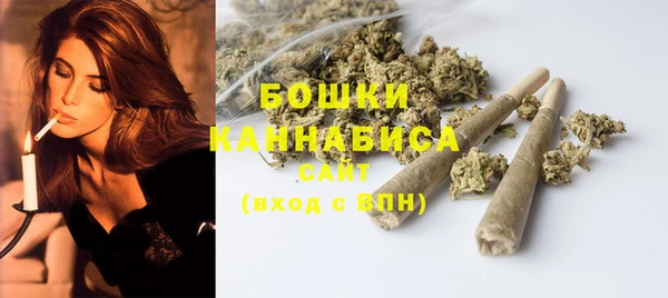 индика Горняк