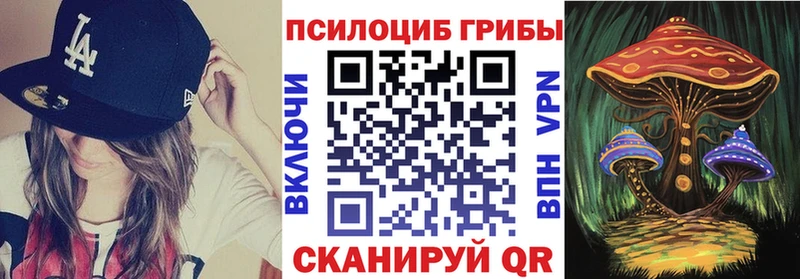 Псилоцибиновые грибы Psilocybe  как найти закладки  нарко площадка Telegram  Иваново 